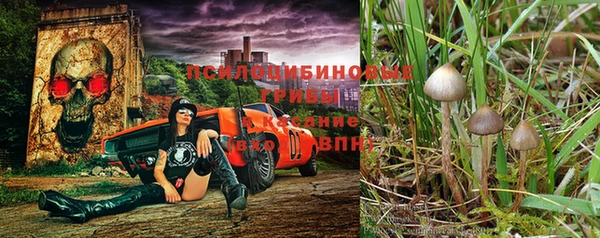 ECSTASY Новодвинск