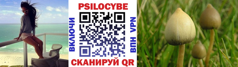 где продают   Шахунья  Псилоцибиновые грибы MAGIC MUSHROOMS 